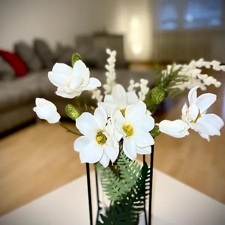 公寓 Apartment Center *